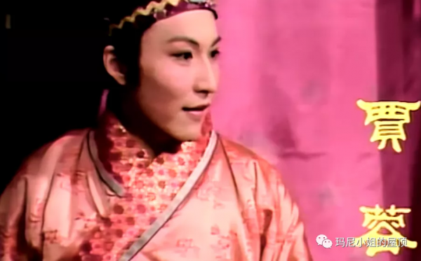 田園園精讀《紅樓夢》筆記