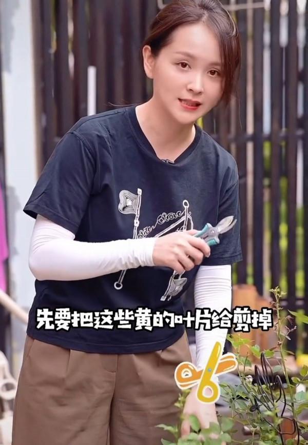 鄧莎下地幹活，庭院一角曝光看出老公財力，小腹微凸被疑懷二胎？