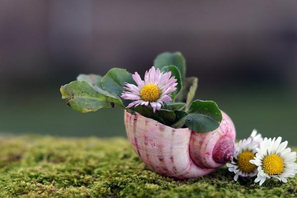 一個人情商高的表現，無非四個字：懂得拒絕