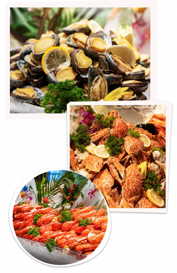 16小時不間斷 | 亞特歡樂中國年