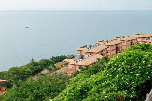 廣東有一個放雞島,但是上面卻沒有雞 廣東有一個放雞島,但是上面卻沒有雞