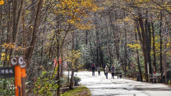 論奇石,我就服長白山望天鵝,它是1億年前火山噴發創造的奇觀 論奇石,我就服長白山望天鵝,它是1億年前火山噴發創造的奇觀