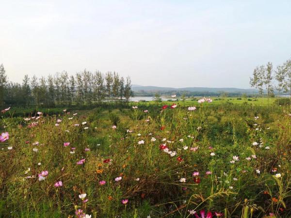 摩托周邊旮旯遊——尋朱元璋出家之於皇寺 摩托周邊旮旯遊——尋朱元璋出家之於皇寺