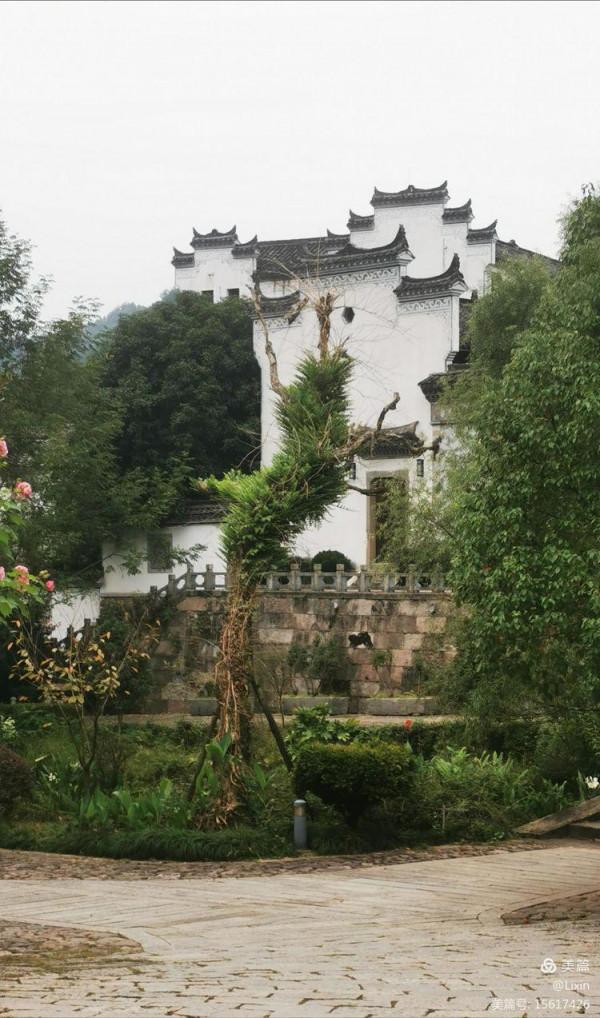 金華的那山那水丨謝立昕