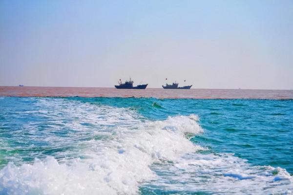 第一站,黃河入海口! 第一站,黃河入海口!