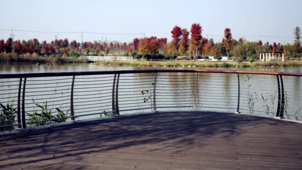 色彩斑斕!金安的這片花葉世界,又到一年中最美的時刻 色彩斑斕!金安的這片花葉世界,又到一年中最美的時刻