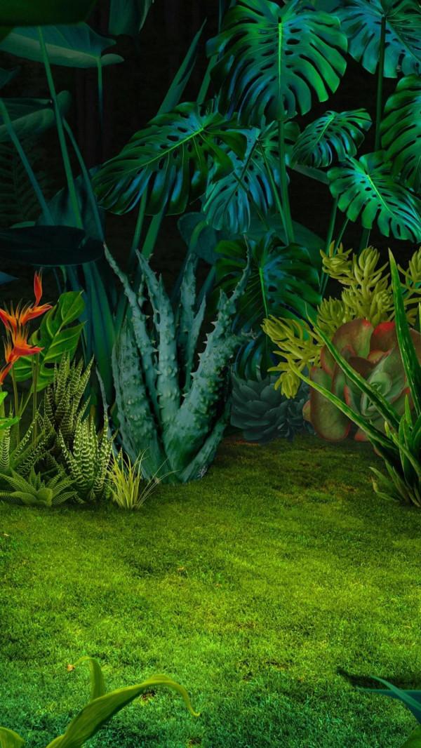 oppo主題桌布 oppo主題桌布