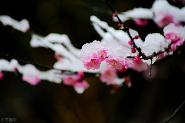 天氣預報：雨雪天氣造成斷崖式降溫，倒春寒已成定局，農諺咋說？