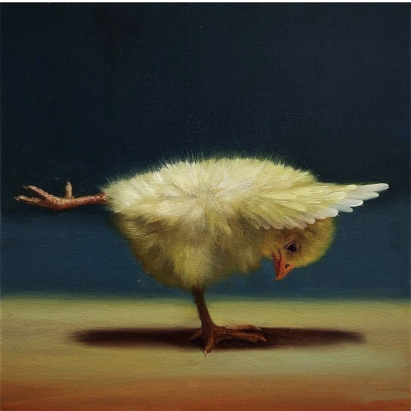 會瑜伽的小黃雞,在二次元動畫技術的加成之下,想象也成為了現實 會瑜伽的小黃雞,在二次元動畫技術的加成之下,想象也成為了現實