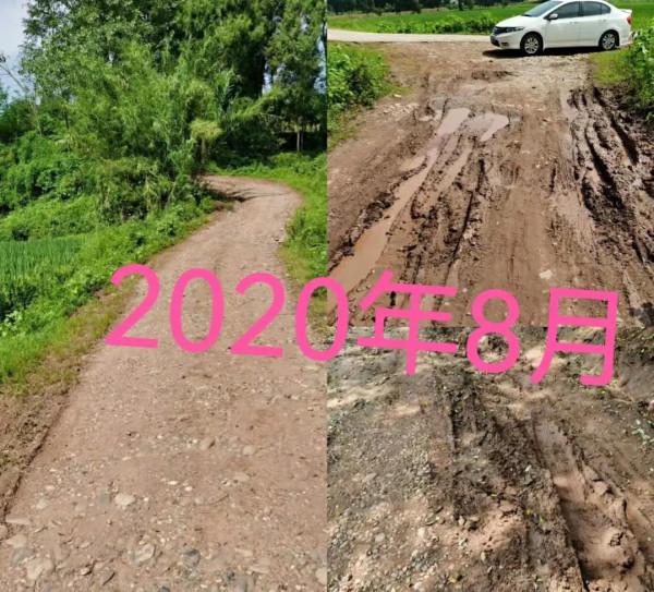 朱丹被農村廁所嚇退，賈玲就地解決，沈夢辰為啥還愛上了農村？