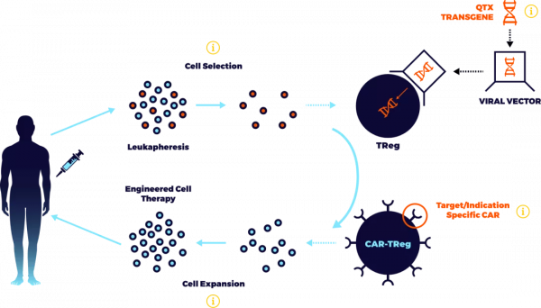 半年融資超5億美元，CAR技術能否加速Treg細胞療法發展？
