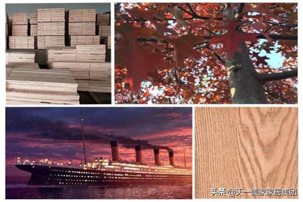 您知道後現代輕奢傢俱風格一般用哪些實木原材嗎？