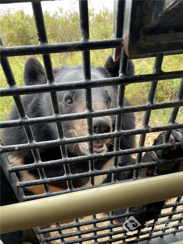 從黑龍江看中俄邊界的歷史變遷