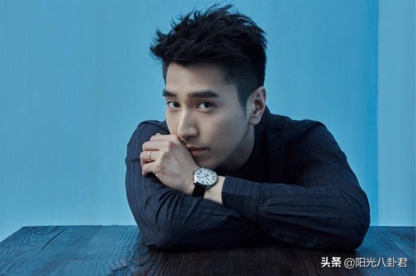 憑一部劇走紅，這5位男星演技被誇上天，如今都被高估了