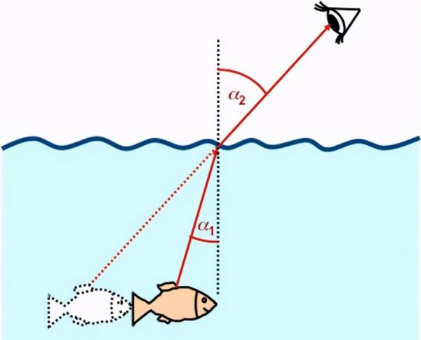 如果某天遇到外星人，人類真的不可能與它們談道德嗎？（3萬字）