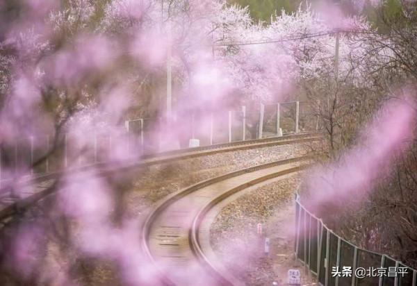 2021好幸運，和你在昌平走過春夏秋冬