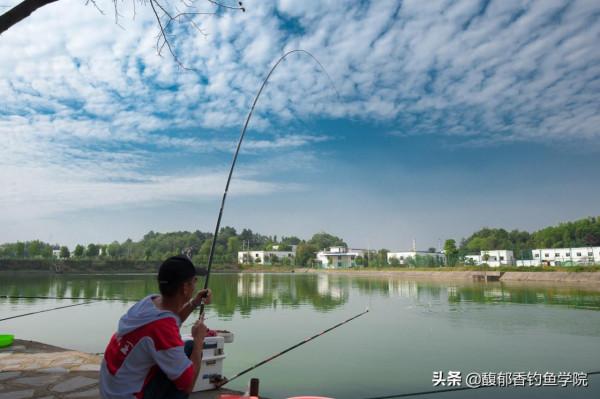 大魚的警惕性高,大魚對魚餌哪些方面敏感?降低大魚警惕性的技巧 大魚的警惕性高,大魚對魚餌哪些方面敏感?降低大魚警惕性的技巧