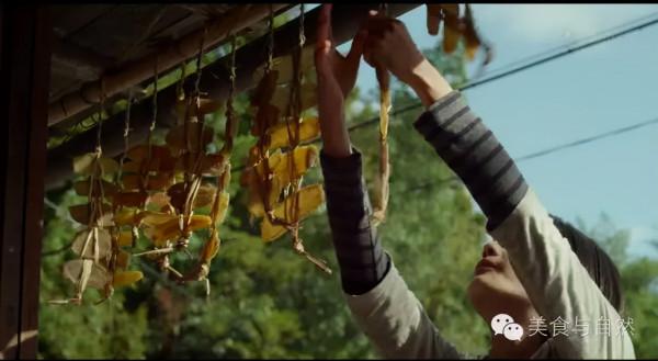 走進小森林之秋季篇