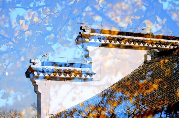 小雪日是誰打翻了大自然的調色盤讓張公湖初冬如此動人