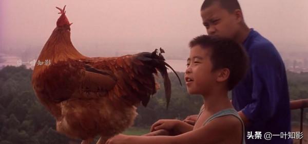 6歲男孩竟然能把雞練得比狗還聽話,能飛天,能治病,催淚國產片 6歲男孩竟然能把雞練得比狗還聽話,能飛天,能治病,催淚國產片