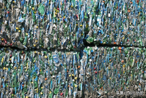 除了種植和養殖外，這3個專案也可做，本小利多，有“錢”途