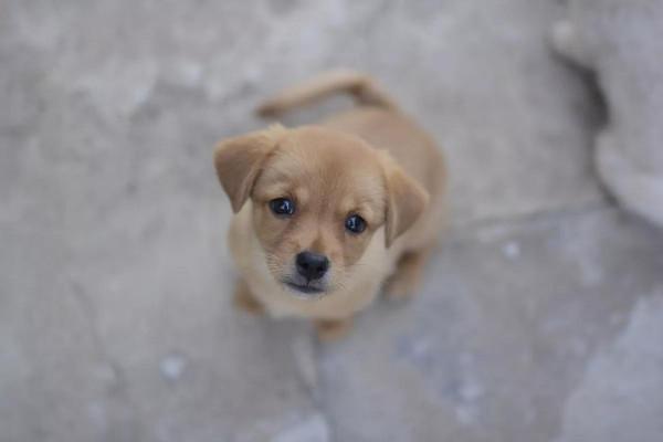 無法忘卻的痛---對一個“家人”的懷念