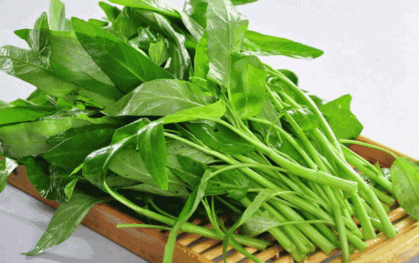 空心菜被稱為“毒王”？別被謠言欺騙了