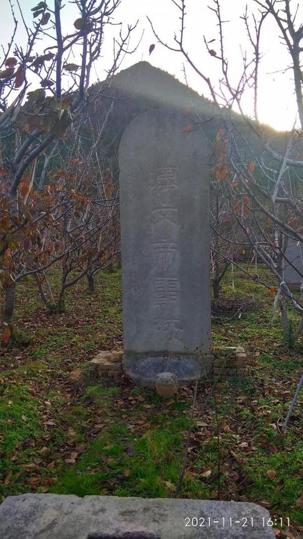 再訪漢文帝霸陵