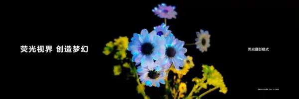 P30系列2.0.0.210軟體更新（合入12月安全補丁）