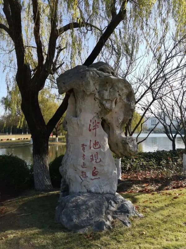 1982年,超齡10歲的錢偉長要當大學校長,鄧小平:他不受年齡限制 1982年,超齡10歲的錢偉長要當大學校長,鄧小平:他不受年齡限制