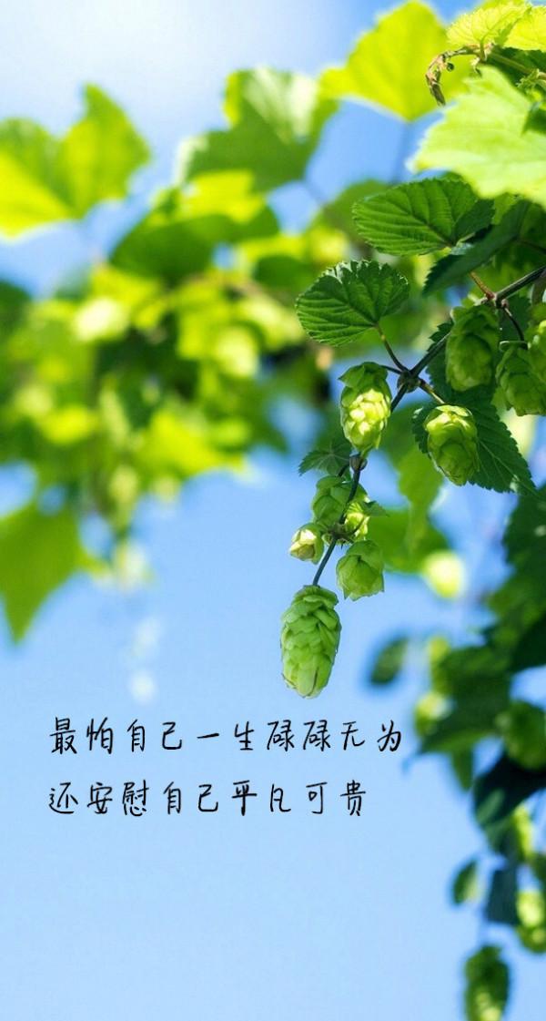 其實我也是個努力的人 其實我也是個努力的人