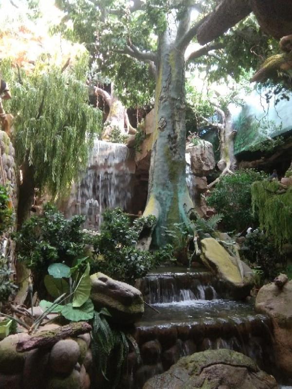 石友們，看看這塊石頭的圖案像什麼