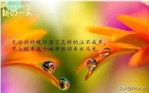 負債180多萬，坦白後，我給父親寫了一封信