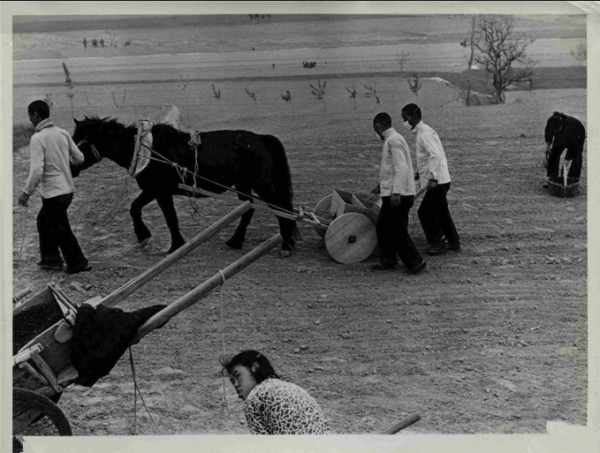 陝西91歲老婦換3任丈夫,78年沒有身份證,真實身份竟是日本人? 陝西91歲老婦換3任丈夫,78年沒有身份證,真實身份竟是日本人?