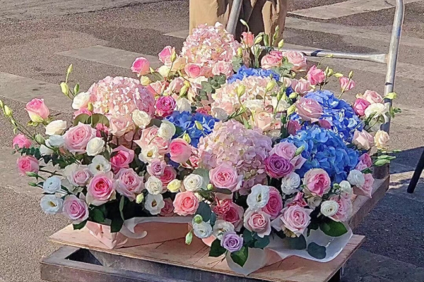 才情滿腹，多才多藝的星座，人群中閃閃發光，藝術審美極好