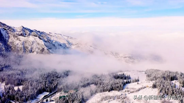 ​天山天池給您送冬景桌布啦~