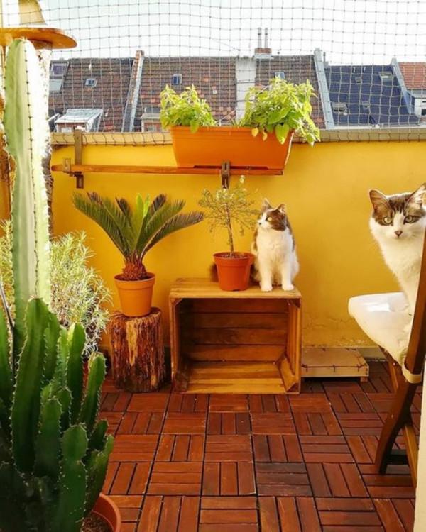 露臺不封陽光房,朋友家罩一層鋼絲網,安全防盜物業也不說是違建 露臺不封陽光房,朋友家罩一層鋼絲網,安全防盜物業也不說是違建