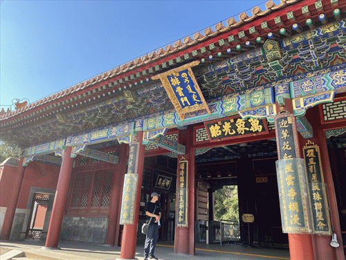 頤和園的桂花，開了！記憶裡都飄香……