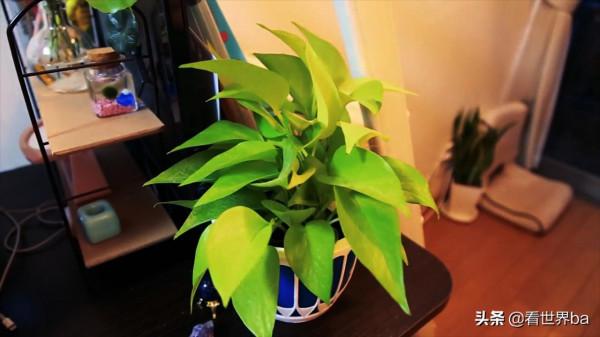 女孩蝸居在8平方米公寓裡，生活設施一應俱全，月租3800貴嗎？