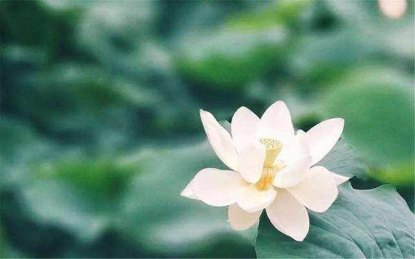 教育孩子太難了，彆著急，找到了方法，一切都會好起來