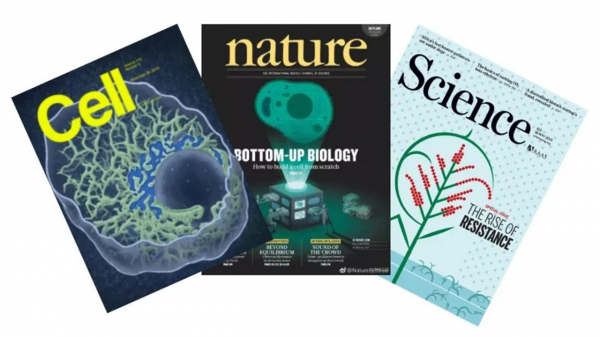 衝出宇宙尋求永生？馬斯克又搞事情，地球買命滿足不了他了