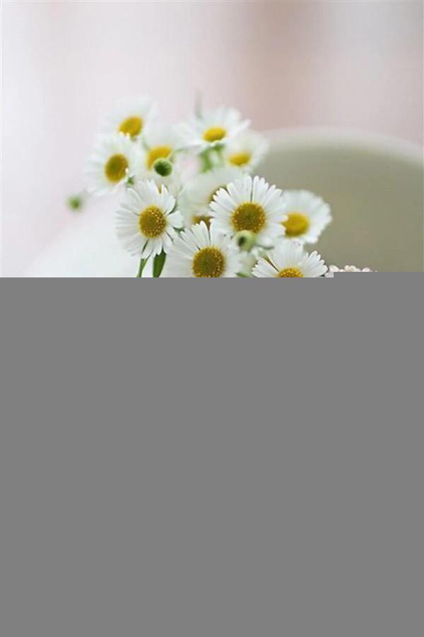 從指縫中，溜走的三天