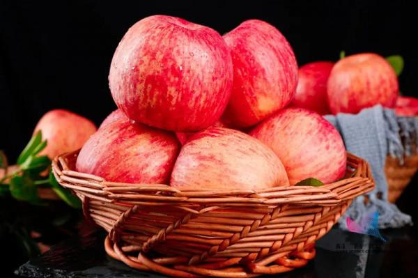 早上金蘋果，晚上毒蘋果？一日一蘋果，醫生遠離我？關於蘋果的真相