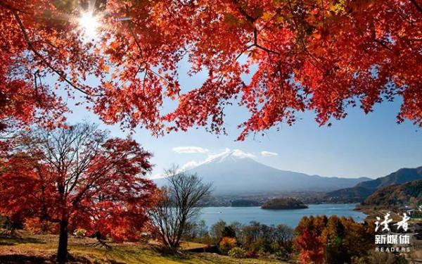 當你老了，去兄弟姐妹家走一圈，就會明白&hellip;&hellip;