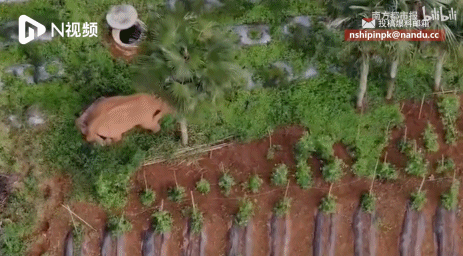 電影成真?再這麼下去,人類被自然災難吞噬就要成為現實 電影成真?再這麼下去,人類被自然災難吞噬就要成為現實