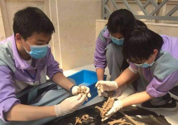 “三無家庭”的孩子,要主動避開這幾類專業,不然就業發展困難多 “三無家庭”的孩子,要主動避開這幾類專業,不然就業發展困難多