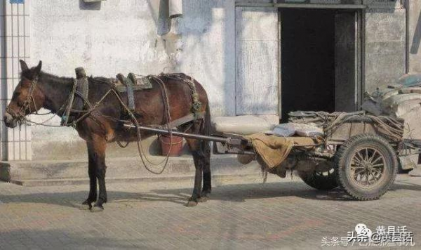 車襻、紐襻、襻帶鞋，這些襻是什麼意思？