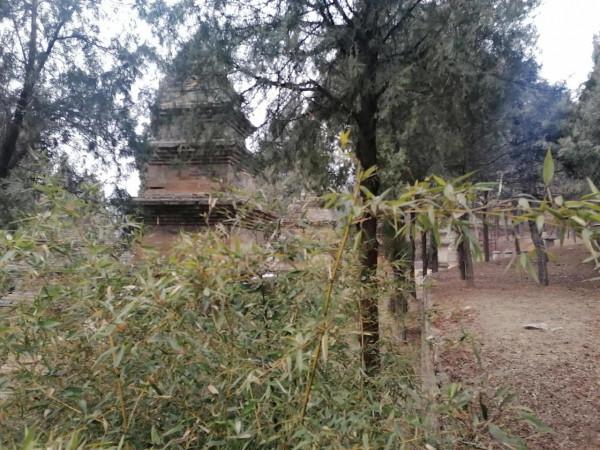 帶著母親看天下（少林寺景區）