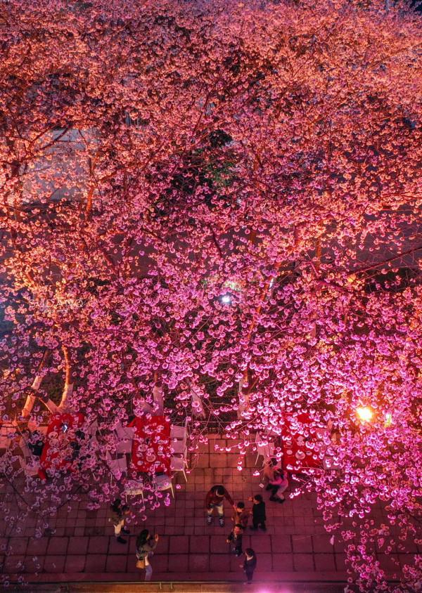 武漢這座大樓最終沒有超越上海中心大廈!高475米,令武漢人惋惜 武漢這座大樓最終沒有超越上海中心大廈!高475米,令武漢人惋惜