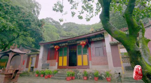 漳州人有多“拼”? 漳州人有多“拼”?